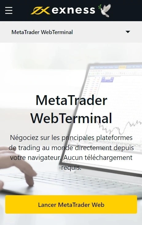 Utiliser le terminal Web